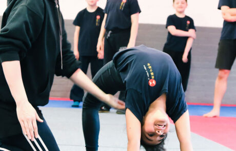Kung Fu Acrobatics Kung Fu Acrobatics