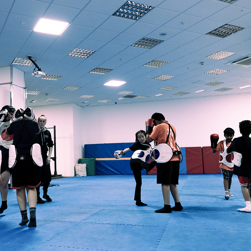 Little Dragon Sanda Kickboxing