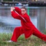 Shaolin Kung Fu Sword