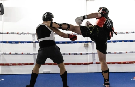 Sanda Kickboxing Combat Training Sanda Kickboxing Combat Training