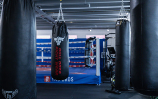 UK Shaolin Gym Punch Bags