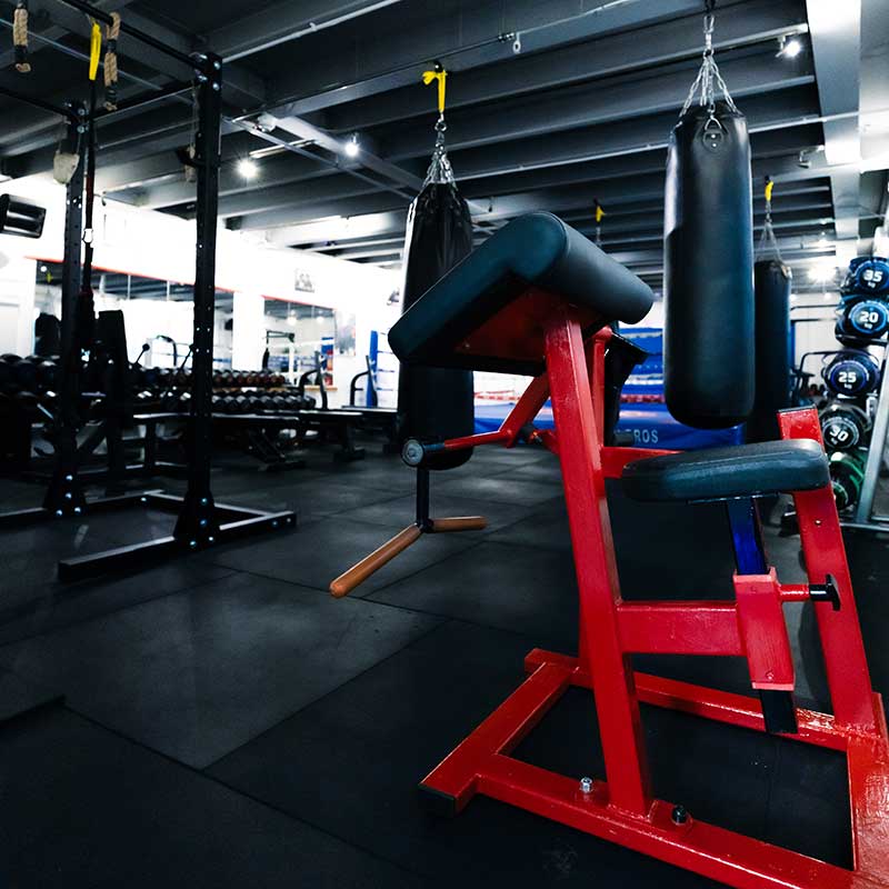 UK Shaolin Gym bicep curl machine UK Shaolin Gym bicep curl machine