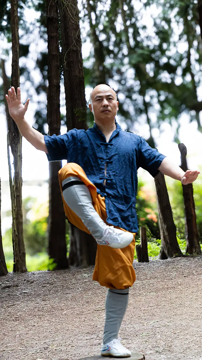 Shi Yan Ming Tai Chi Shi Yan Ming Tai Chi