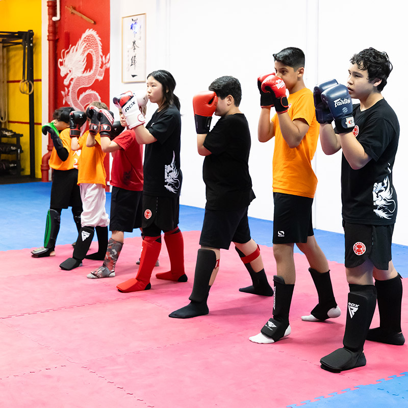 Children’s Sanda Kickboxing Training Children's Kickboxing Training
