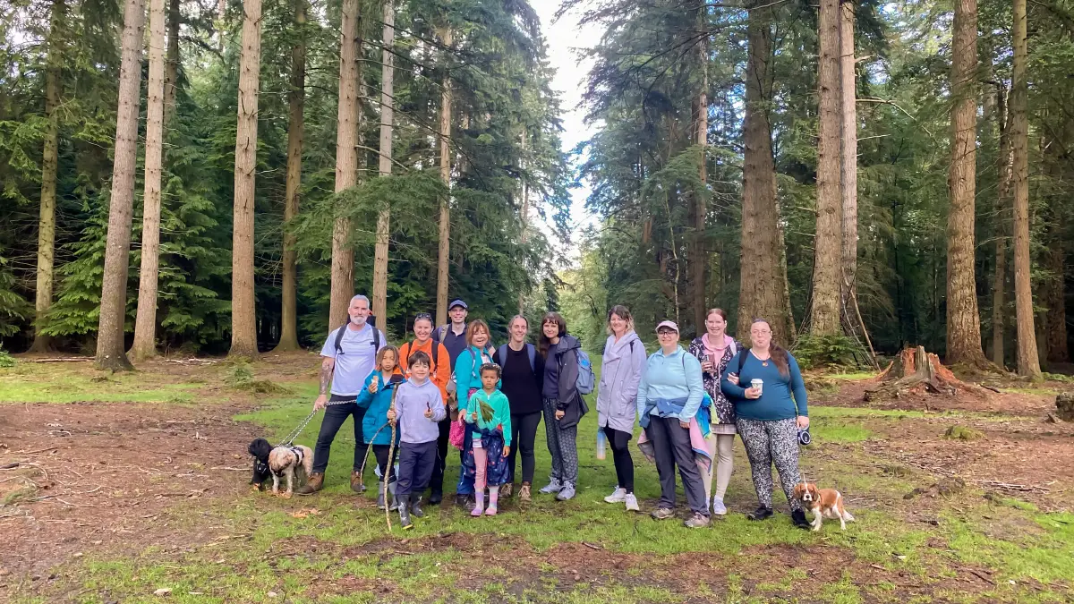 New Forest Mindfulness Walk