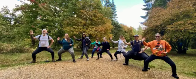 New Forest Mindfulness Walk