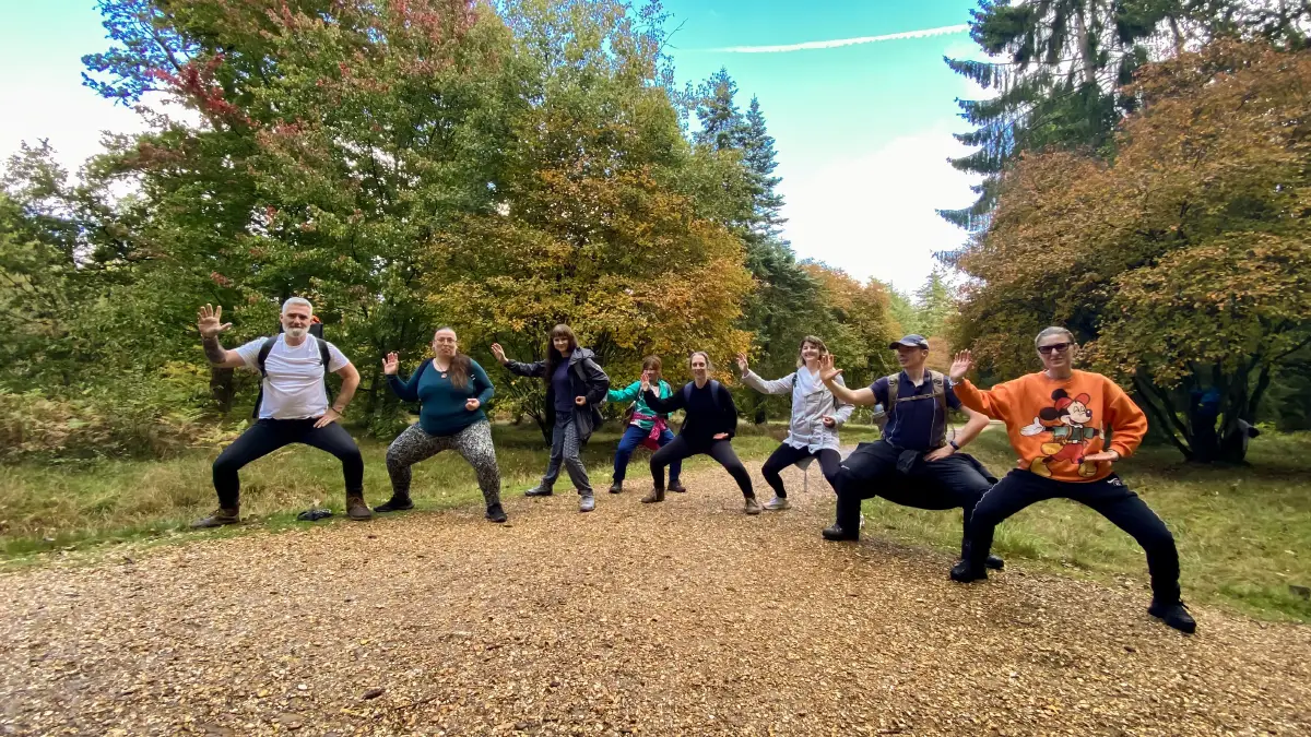 New Forest Mindfulness Walk