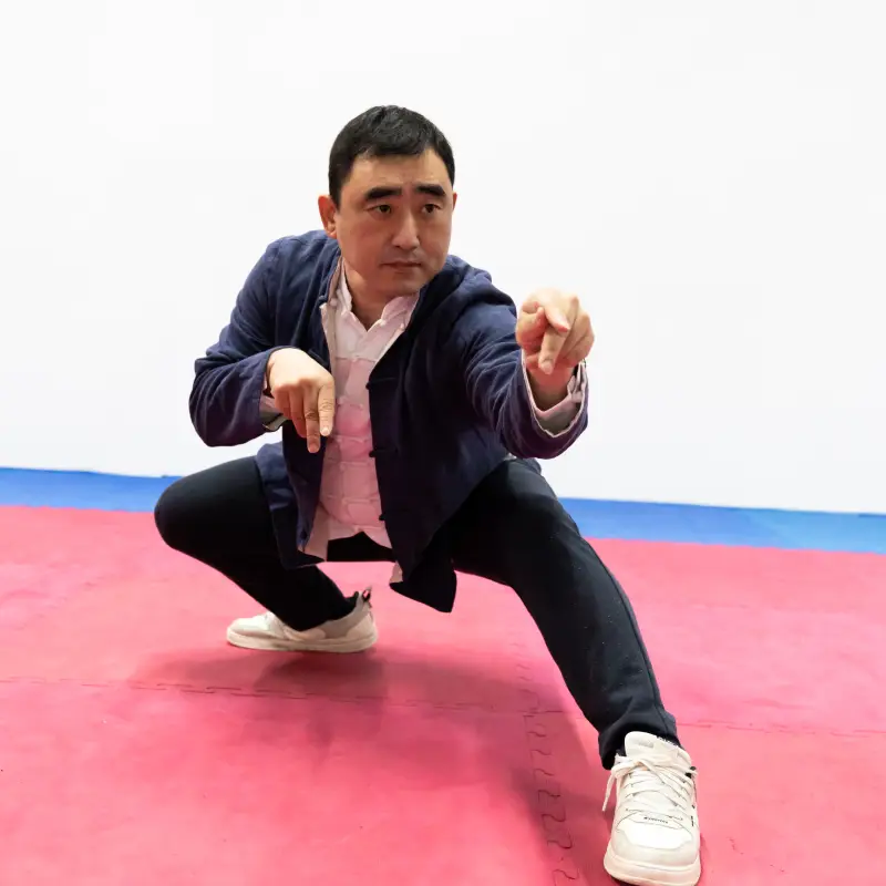 Defeng Chen Tanglang Quan Defeng Chen Kung Fu training