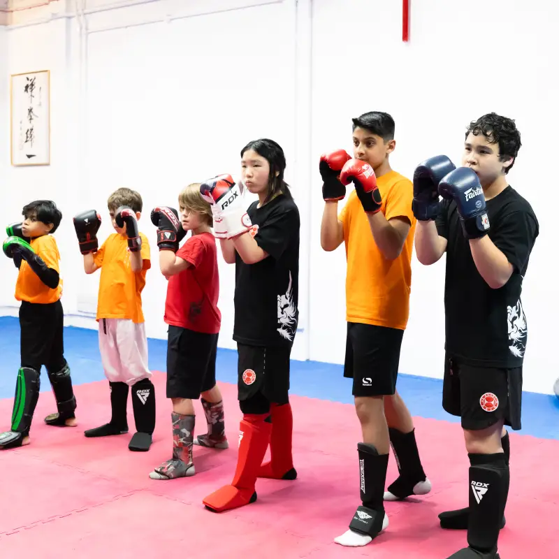 Sanda Kickboxing for Kids Sanda Kickboxing for Kids