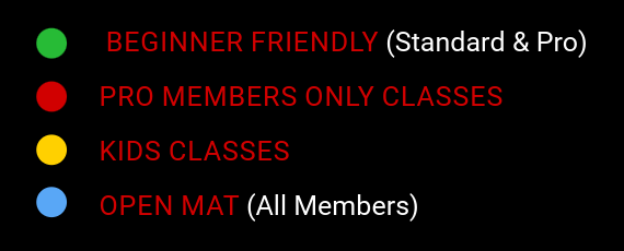 UK Shaolin Class Key