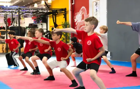Children’s Martial Arts Kung Fu Children's Martial Arts Kung Fu